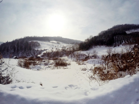 东北冬季雪村风光