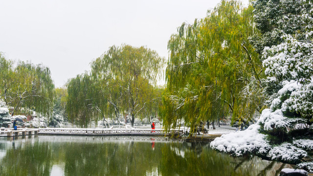 皑皑白雪