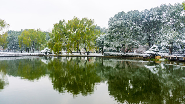 瑞雪