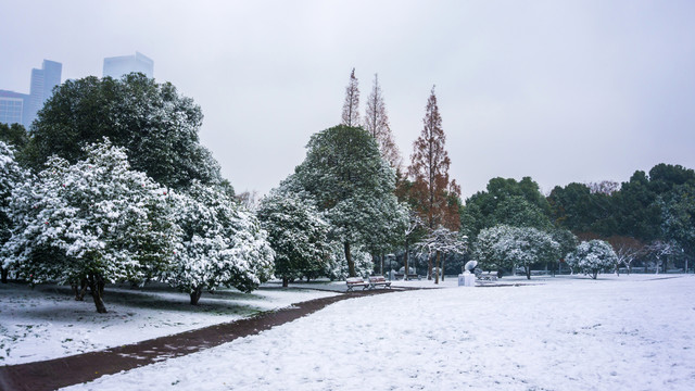 南方雪景