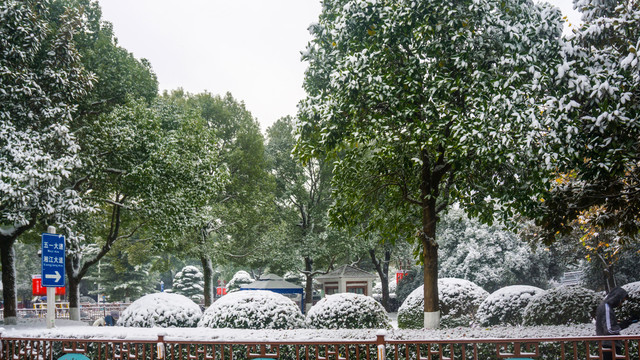 南方雪景