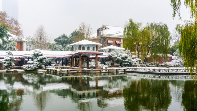 雪景