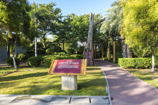 廈門園博苑木化石園