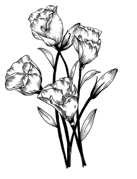 線描洋桔?；? style=
