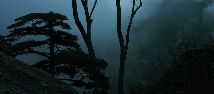 浓雾夜色下高山树林风景图片