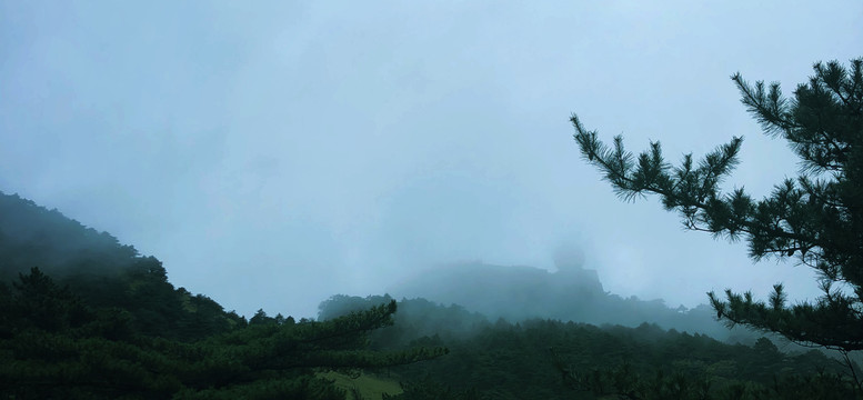 云雾缭绕下高山森林风景图片