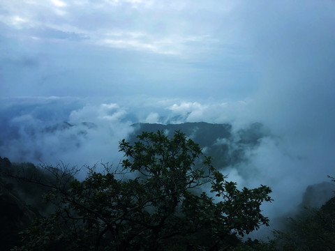 云雾缭绕下的山林风景图