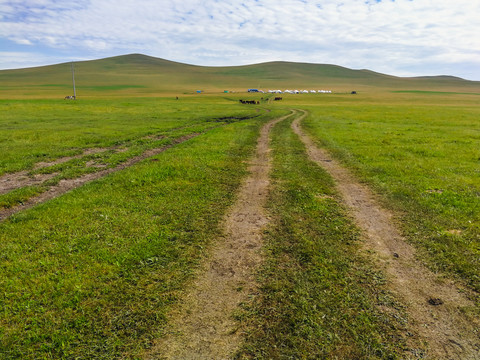 草原道路放牧蒙古包