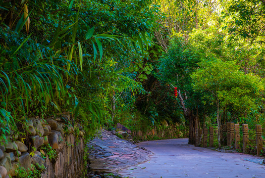 宁洱茶马古道