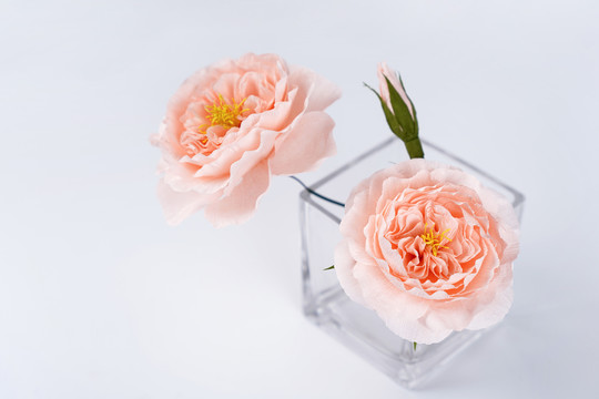 花藝