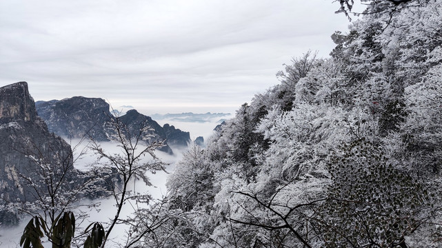 张家界天门山雾凇