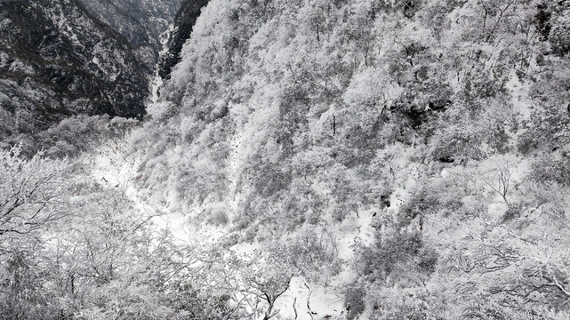 张家界天门山雾凇