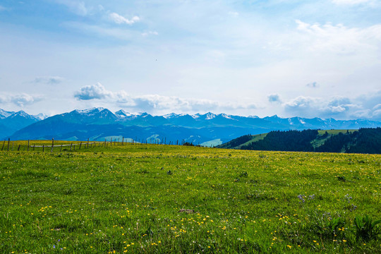 伊犁天山