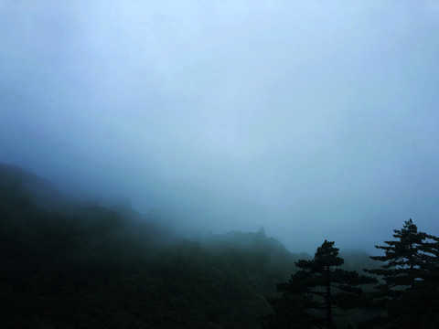 雾气弥漫下的山林风景图