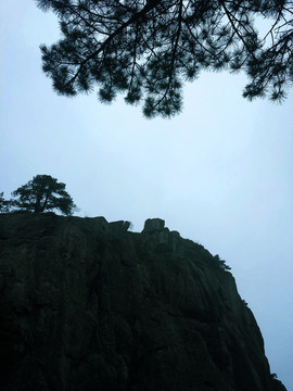 高山松树风景图