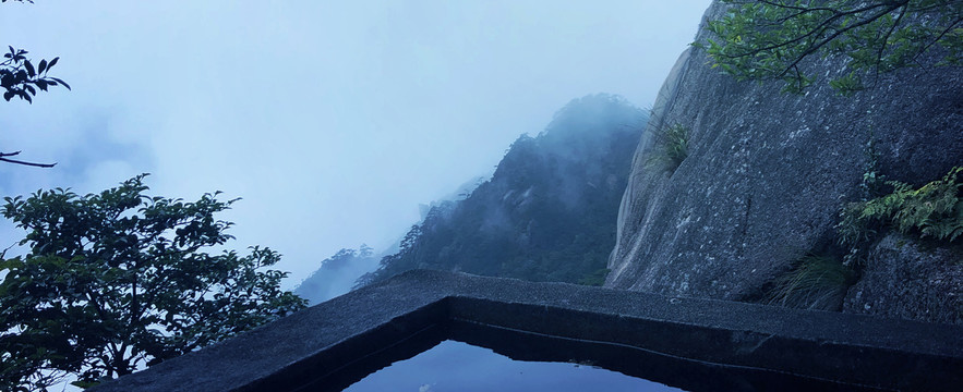 高山水潭树林风景图片