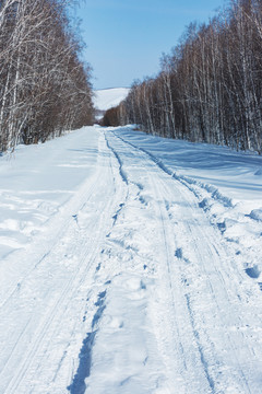 冬季森林积雪公路