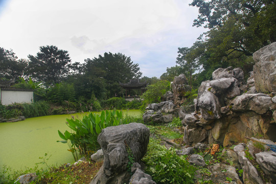 杭州西溪湿地