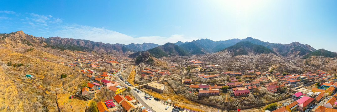 山东青岛市城阳区棉花村