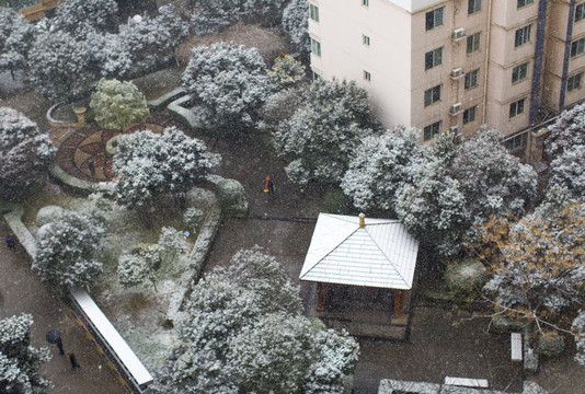 雪景