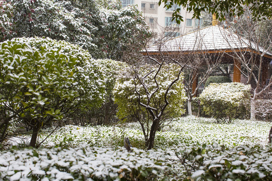 下雪