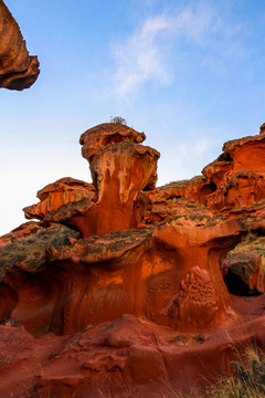 红山石林风景区