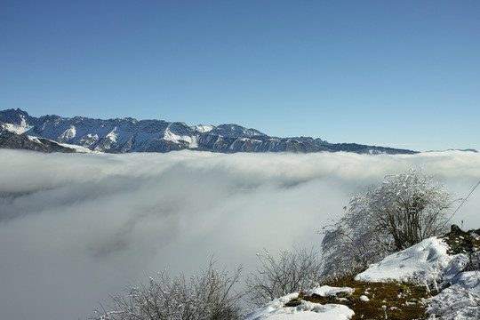 夹金山云海