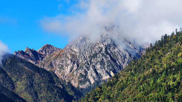 白马雪山自然保护区