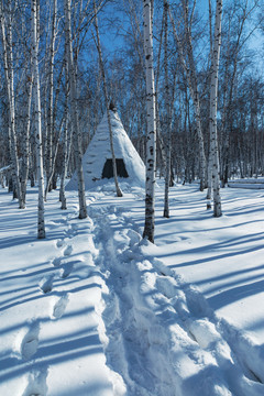 冬季雪原白桦树林撮罗子