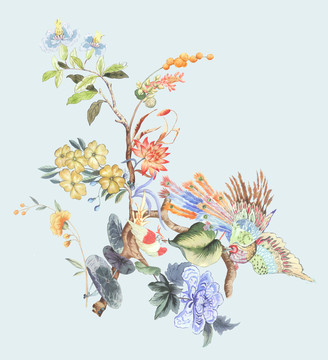 手繪花鳥繪畫