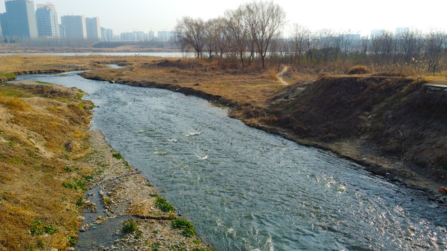 伊河分支