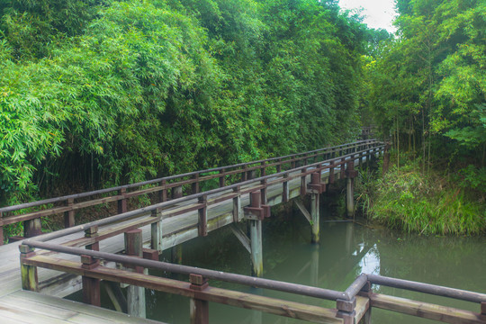 杭州西溪湿地