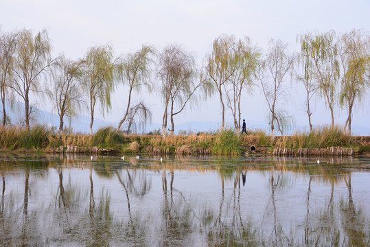 乡间小路