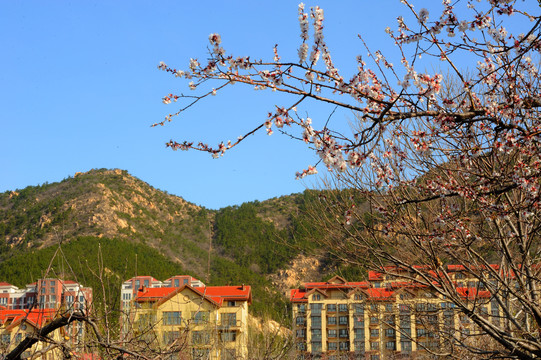 山景小区