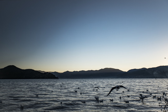 泸沽湖