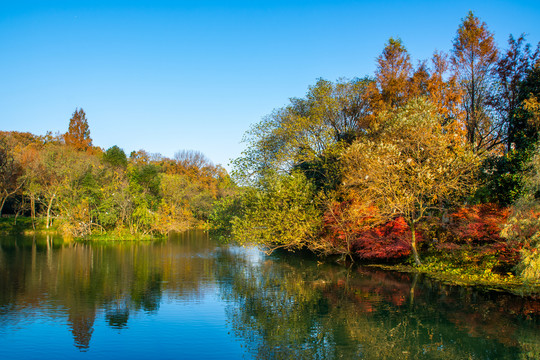 西湖秋景