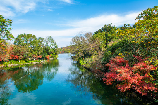 西湖秋景