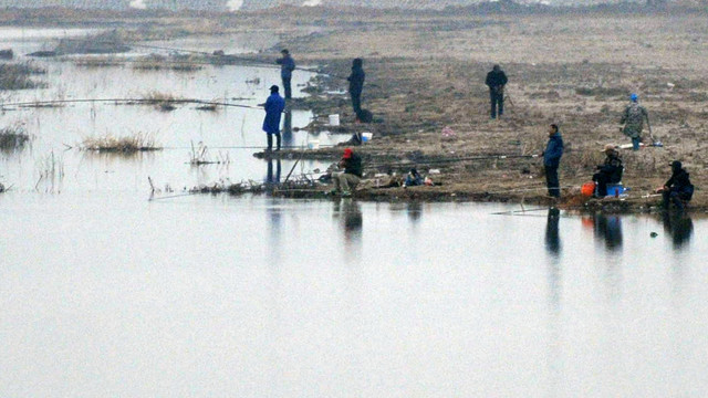 黄陂湖湿地