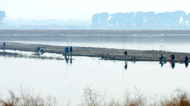 黄陂湖湿地