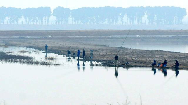 黄陂湖湿地