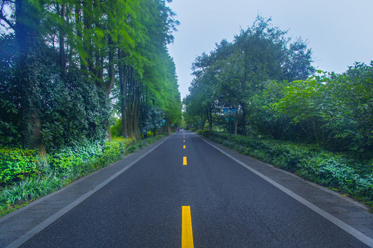 油渣路