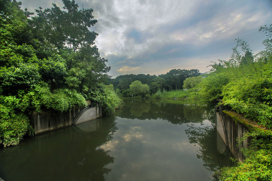 杭州西溪湿地