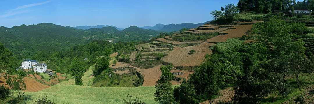 田园风景