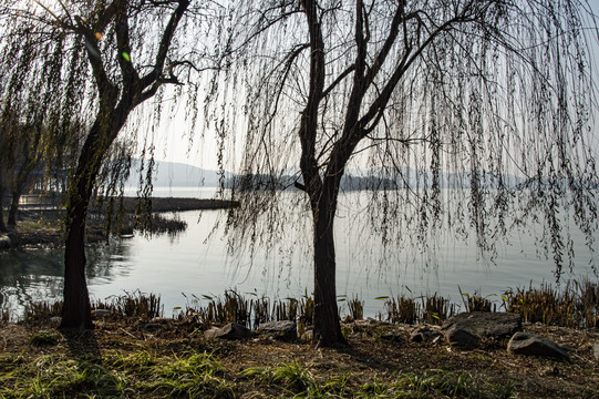 蠡湖风景