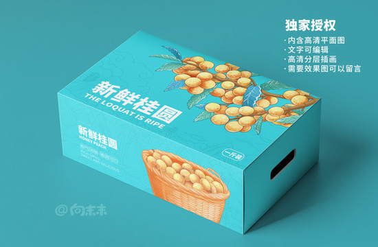 桂圓包裝設計
