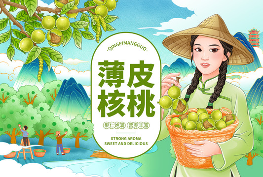 薄皮核桃插畫(huà)
