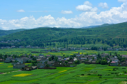 乡村风光