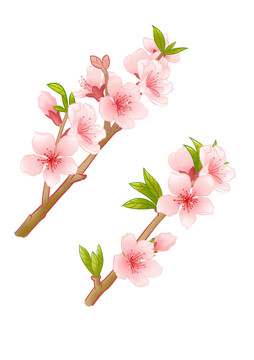 中國(guó)風(fēng)國(guó)潮插畫(huà)桃花素材