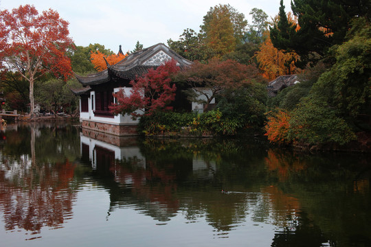 湖水秋景