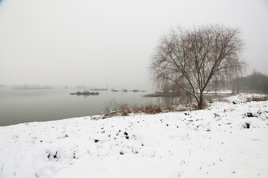 公园雪景